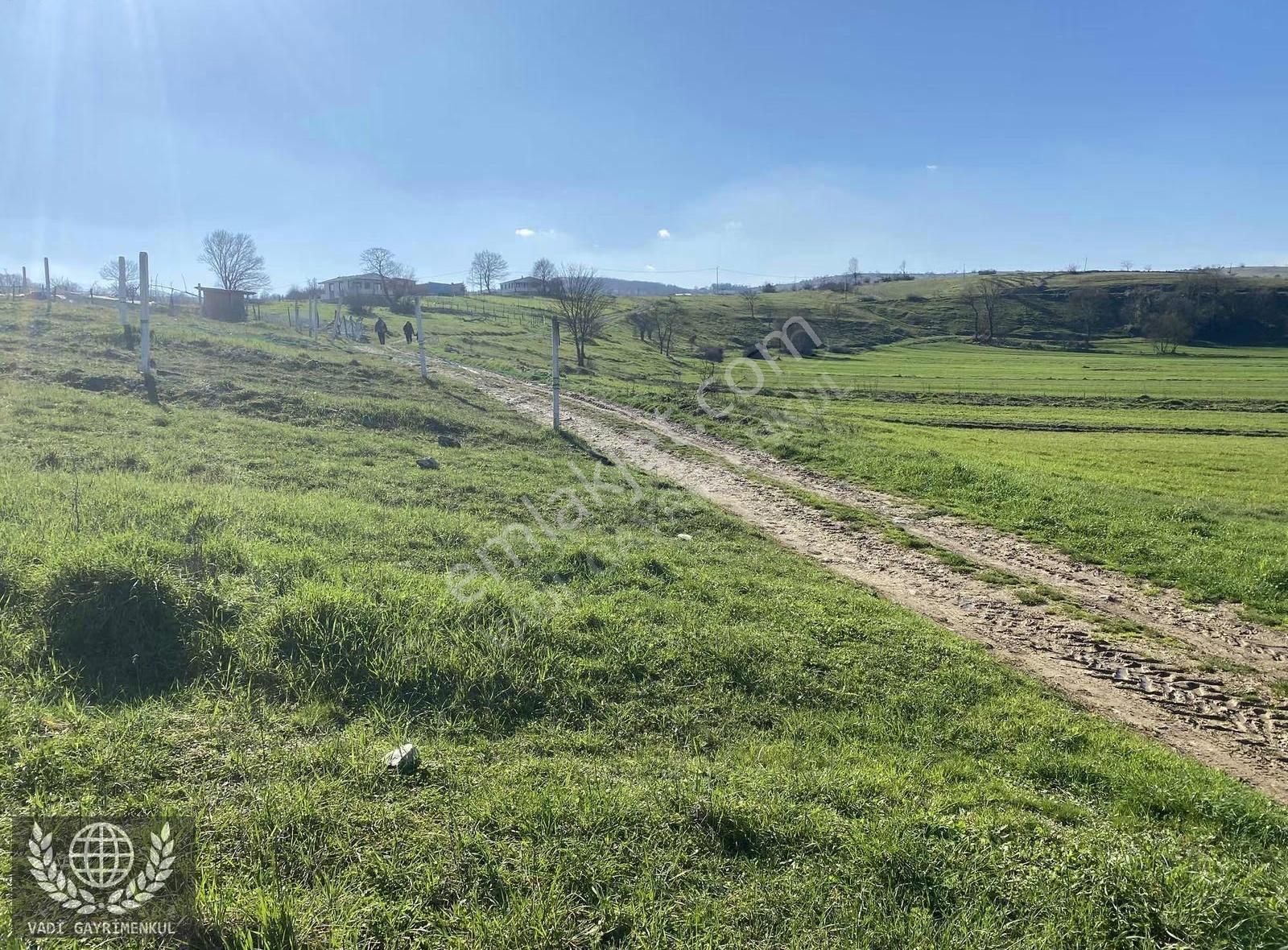 Kandıra Kubuzcu Köyü'nde Yola Cepheli Satılık Arsa - Görsel 4