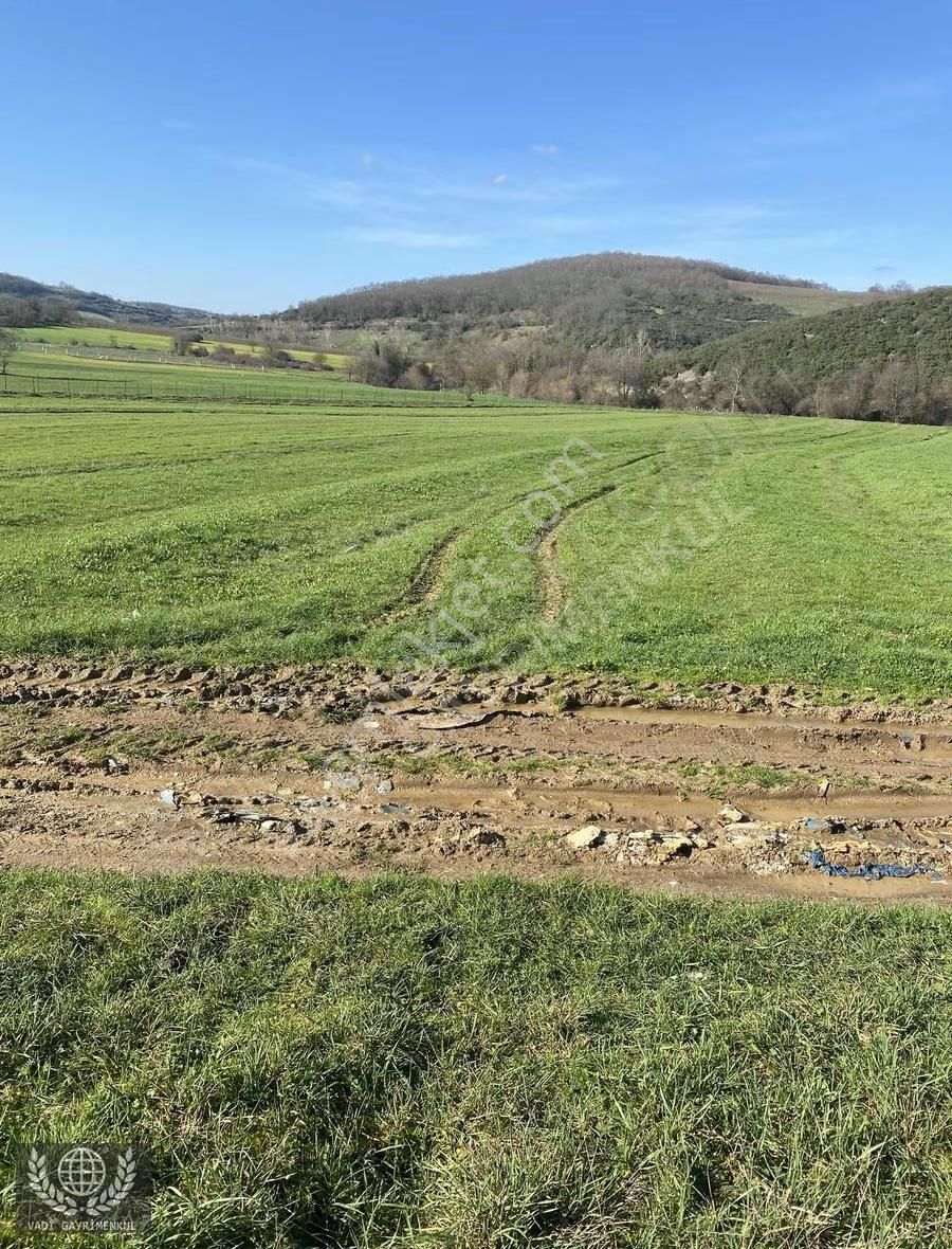 Kandıra Kubuzcu Köyü'nde Yola Cepheli Satılık Arsa - Görsel 6