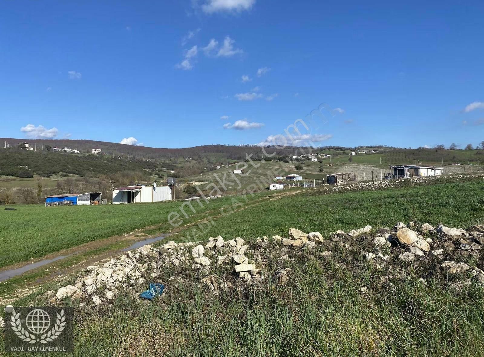 Kandıra Kubuzcu Köyü'nde Yola Cepheli Satılık Arsa - Görsel 10