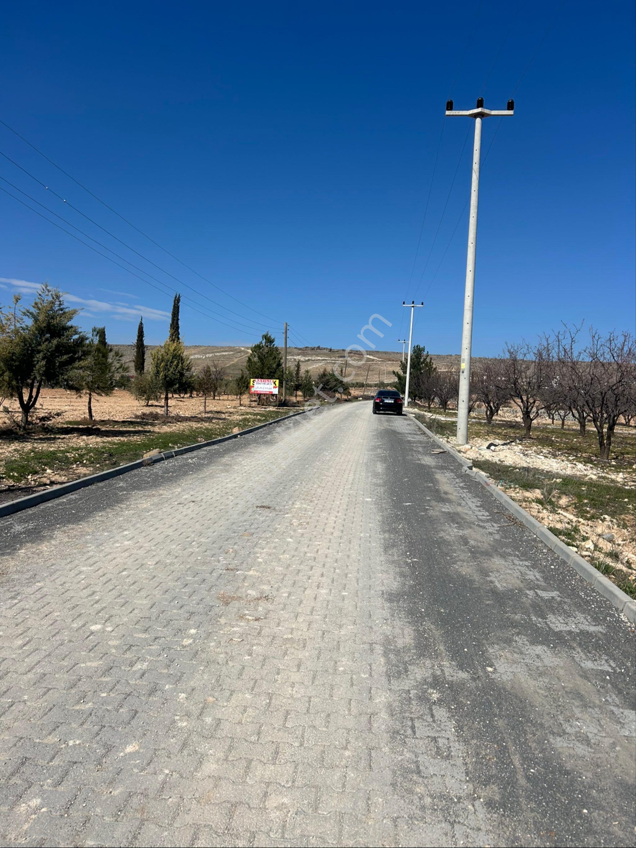 Tavze Gayrimenkuldan Şanlıurfa Aşağı İşkarada Satılık Meyve Bahçesi - Görsel 7