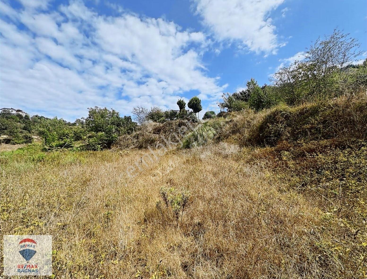 Beykoz Yavuz Selim Mahallesi 2106 Metre² Satılık Arsa - Görsel 9