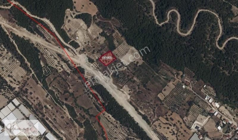 İdamax'tan Çardak'ta 2243 M2 Yatırımlık Tarla