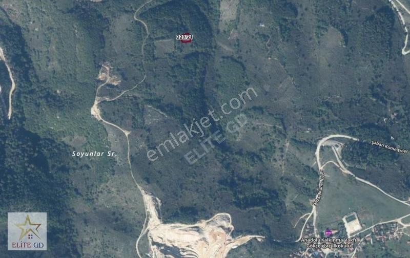 1053 M2 Müstakil Tapulu Yığılca Gökçeağaçta Fırsat Tarla - Görsel 6