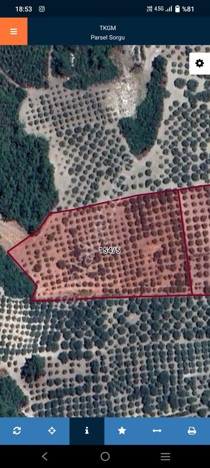 Yatırım Amaçlı Zeytinlik