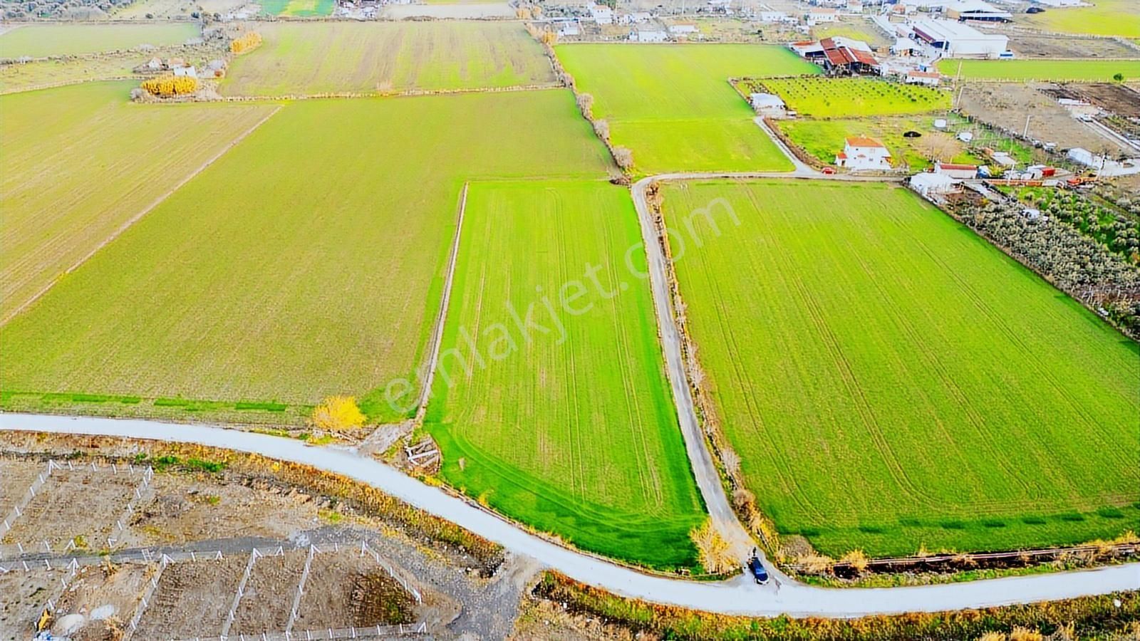 Foça Bağarası Hacıveli Mahallesinde Satılık Tarla - Görsel 2