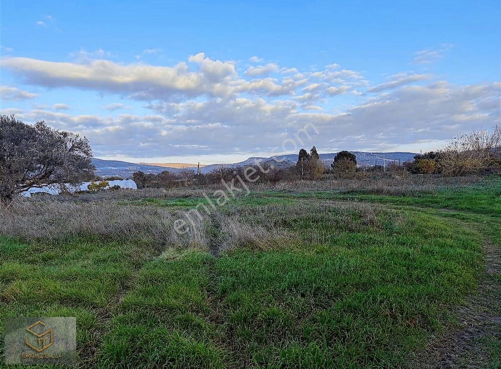 Menemen Görece Köyünde 4860 M² Satılık Tarla - Görsel 2