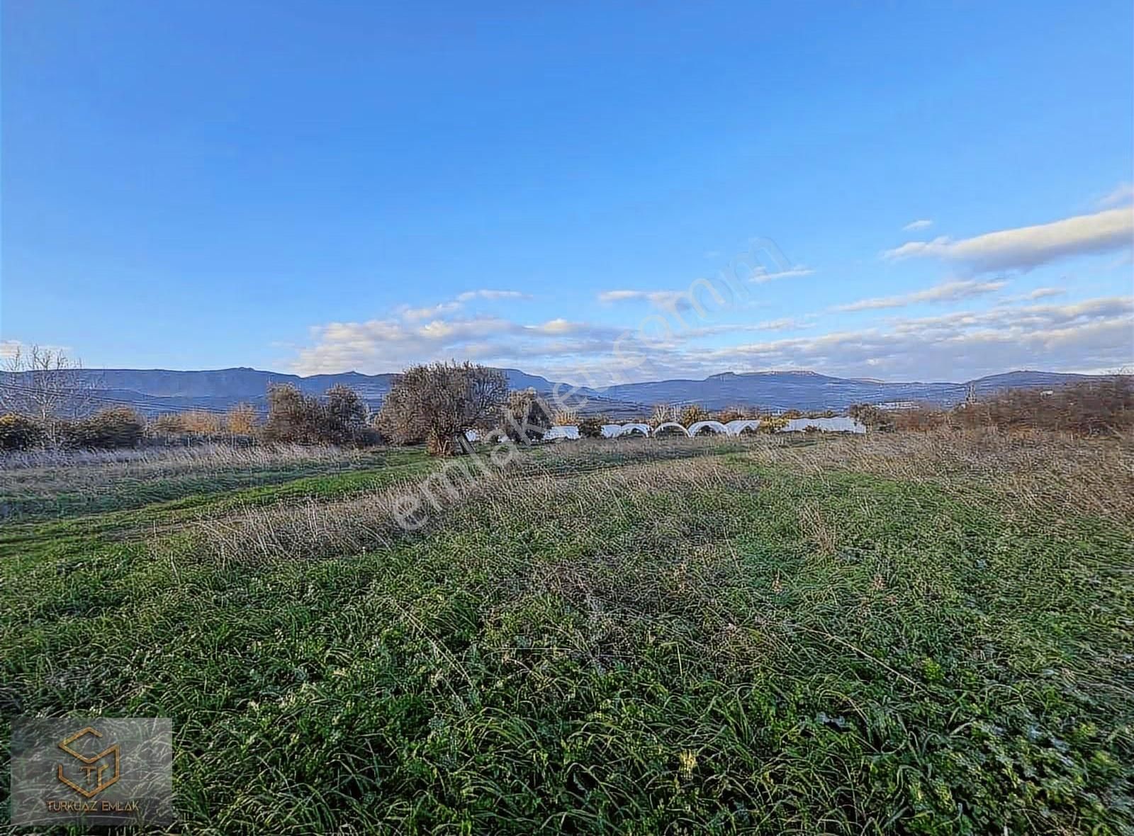 Menemen Görece Köyünde 4860 M² Satılık Tarla - Görsel 12