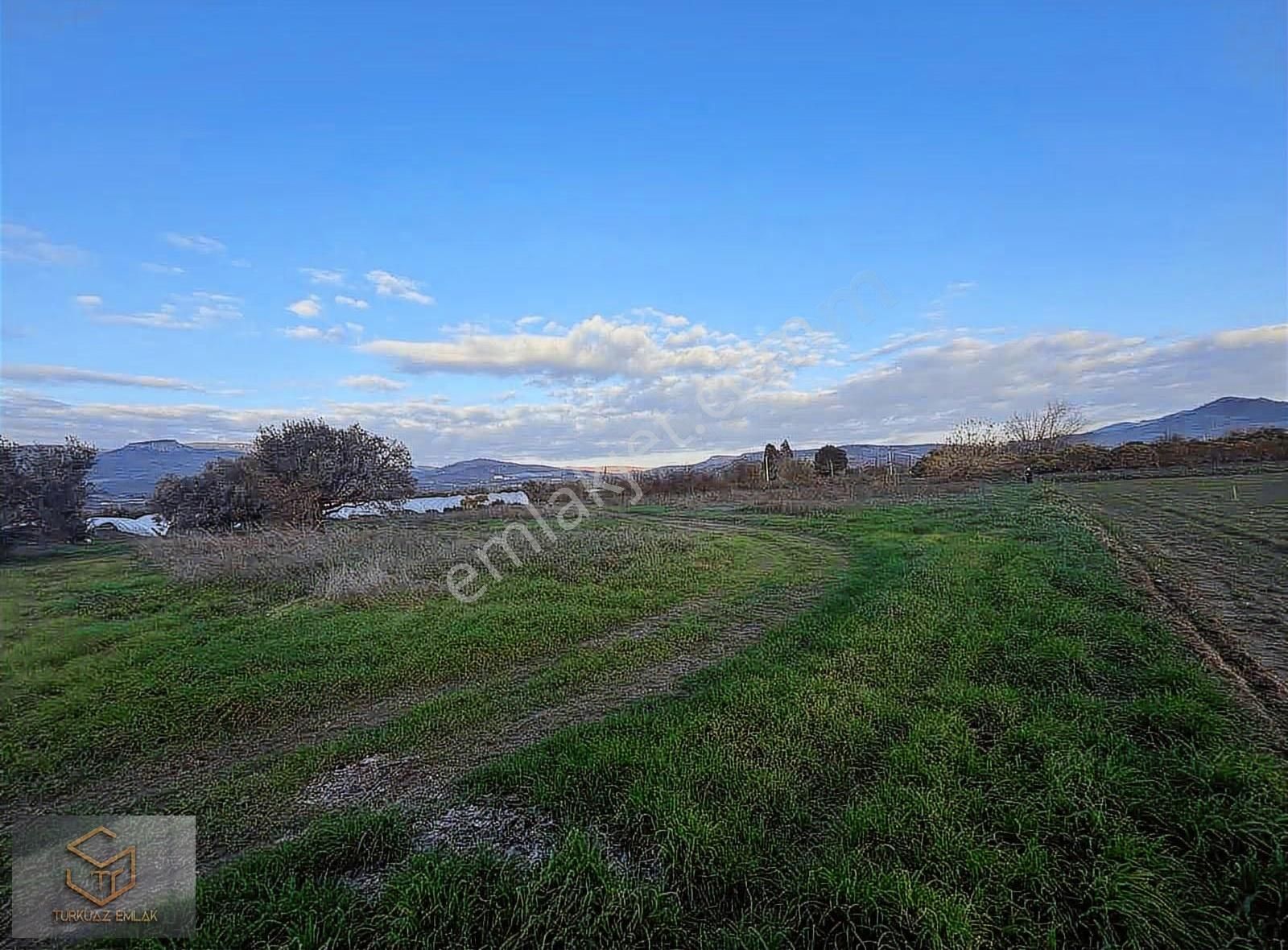 Menemen Görece Köyünde 4860 M² Satılık Tarla - Görsel 16