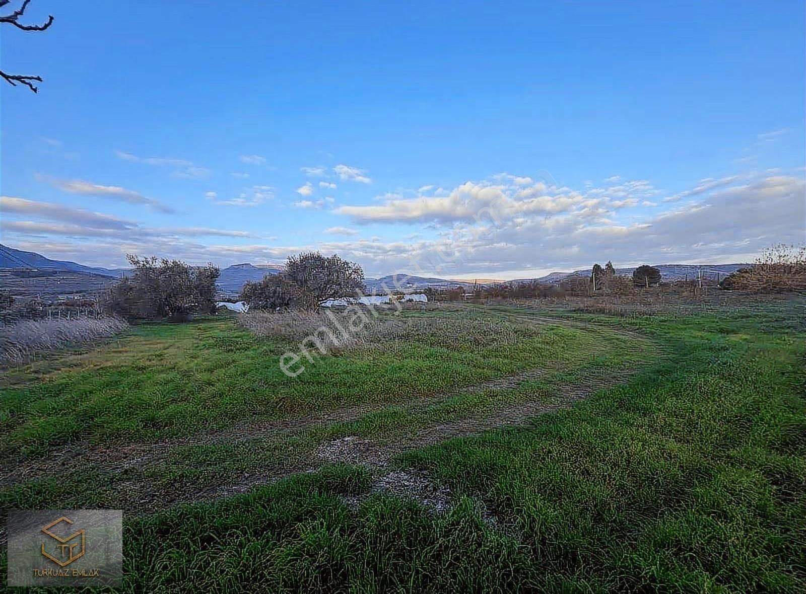 Menemen Görece Köyünde 4860 M² Satılık Tarla - Görsel 25