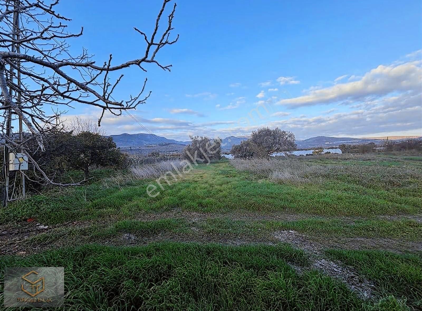 Menemen Görece Köyünde 4860 M² Satılık Tarla