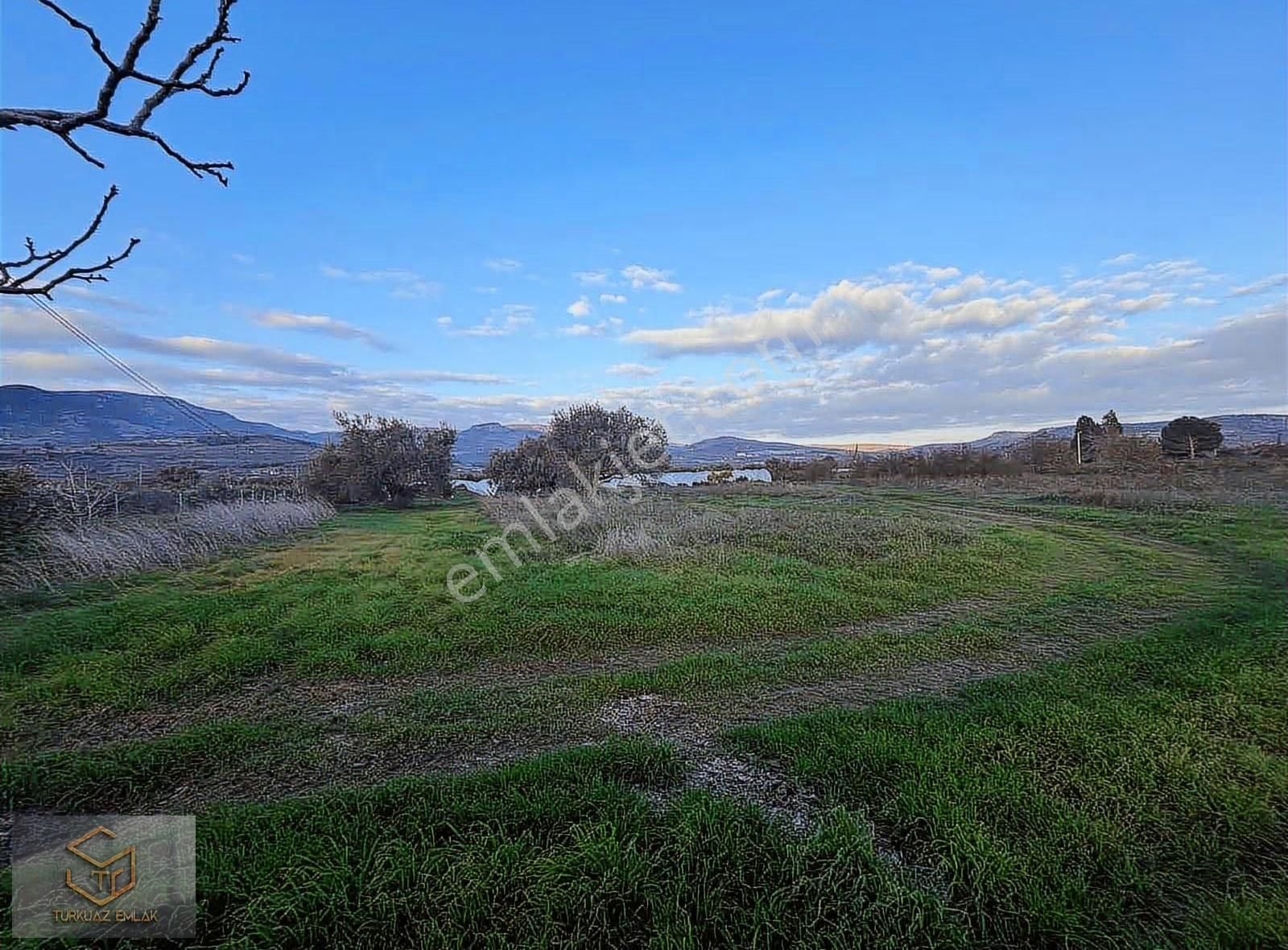 Menemen Görece Köyünde 4860 M² Satılık Tarla - Görsel 4