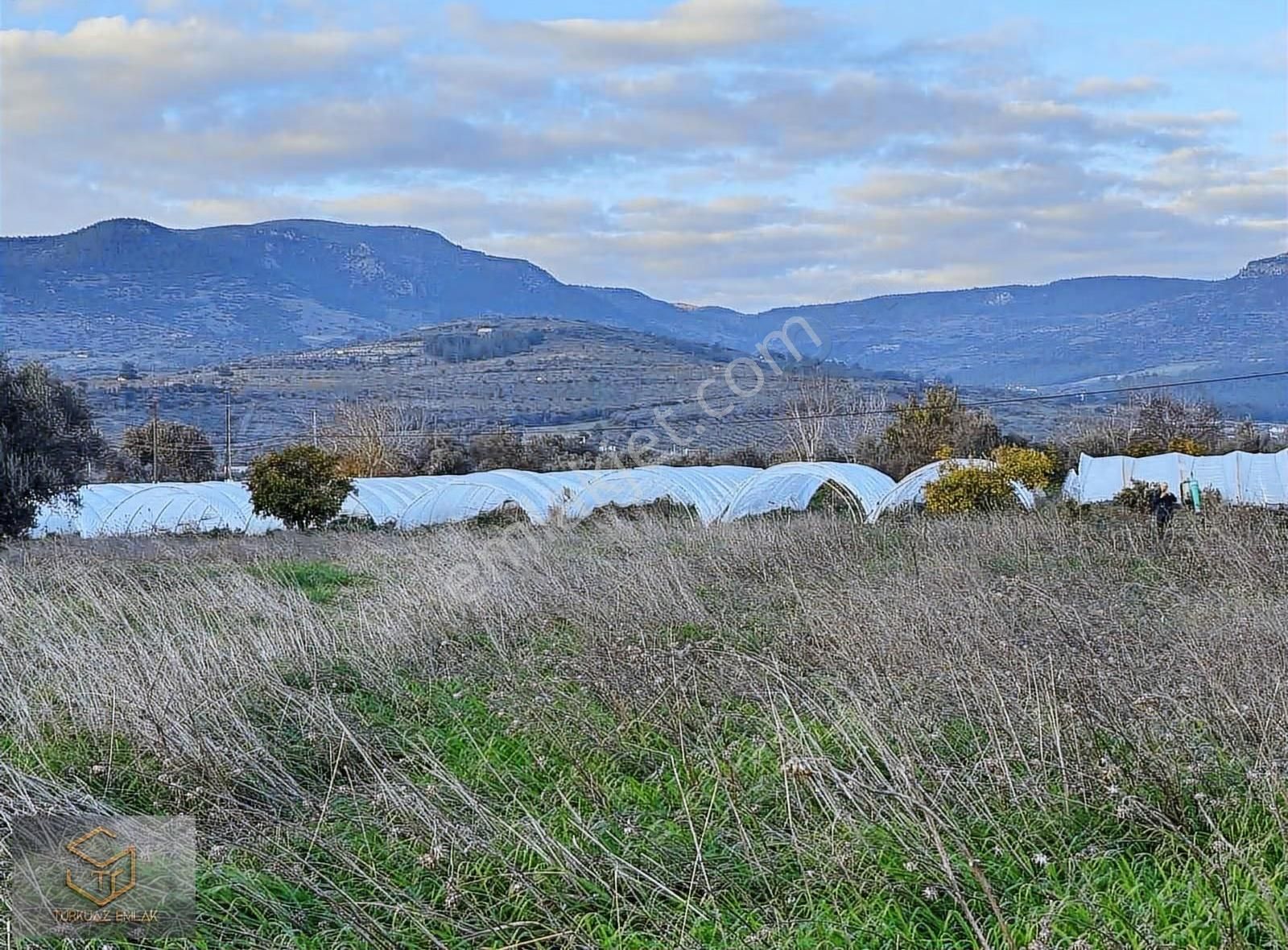 Menemen Görece Köyünde 4860 M² Satılık Tarla - Görsel 19