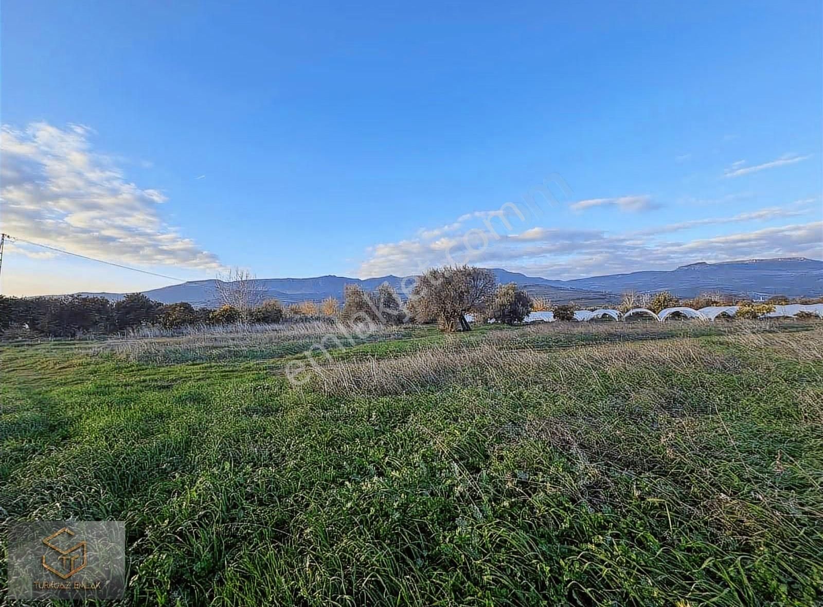 Menemen Görece Köyünde 4860 M² Satılık Tarla - Görsel 20