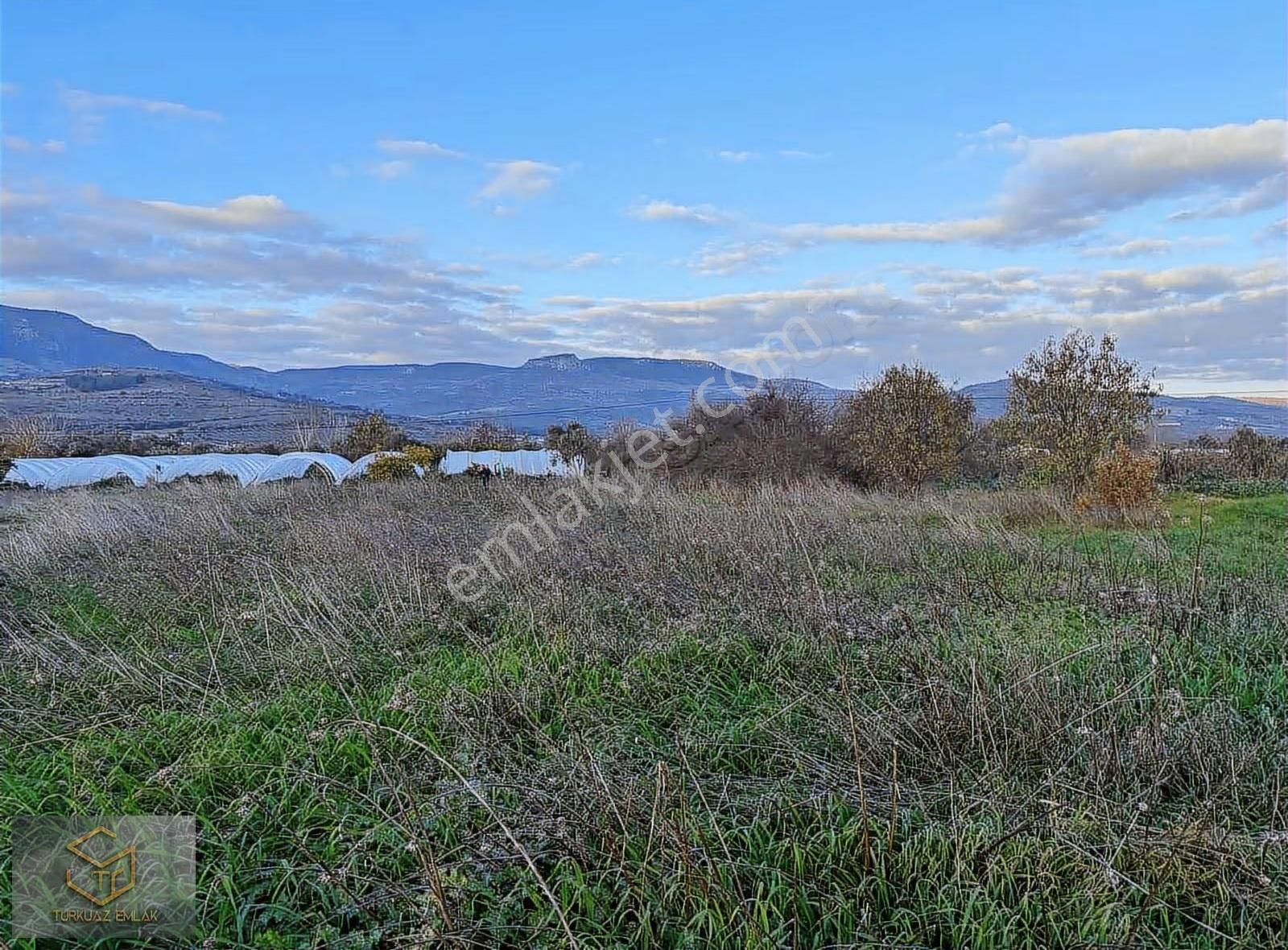 Menemen Görece Köyünde 4860 M² Satılık Tarla - Görsel 9