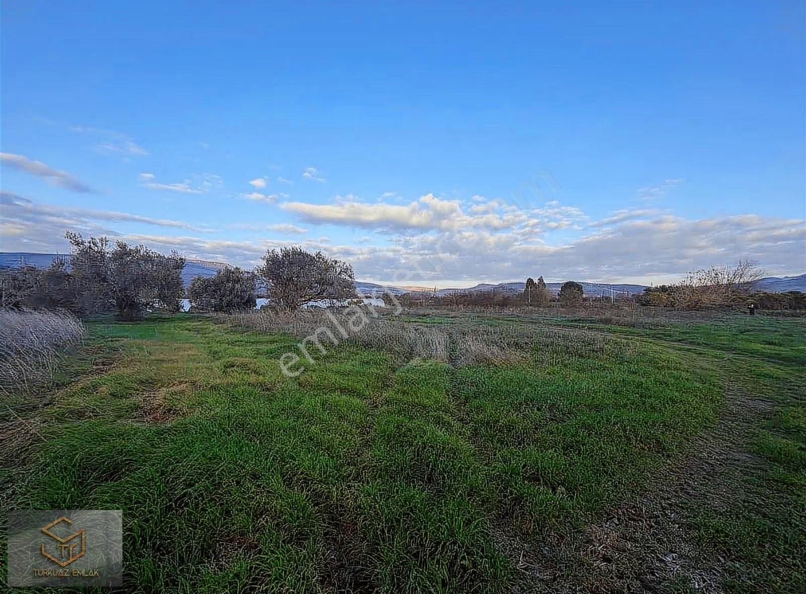 Menemen Görece Köyünde 4860 M² Satılık Tarla - Görsel 13