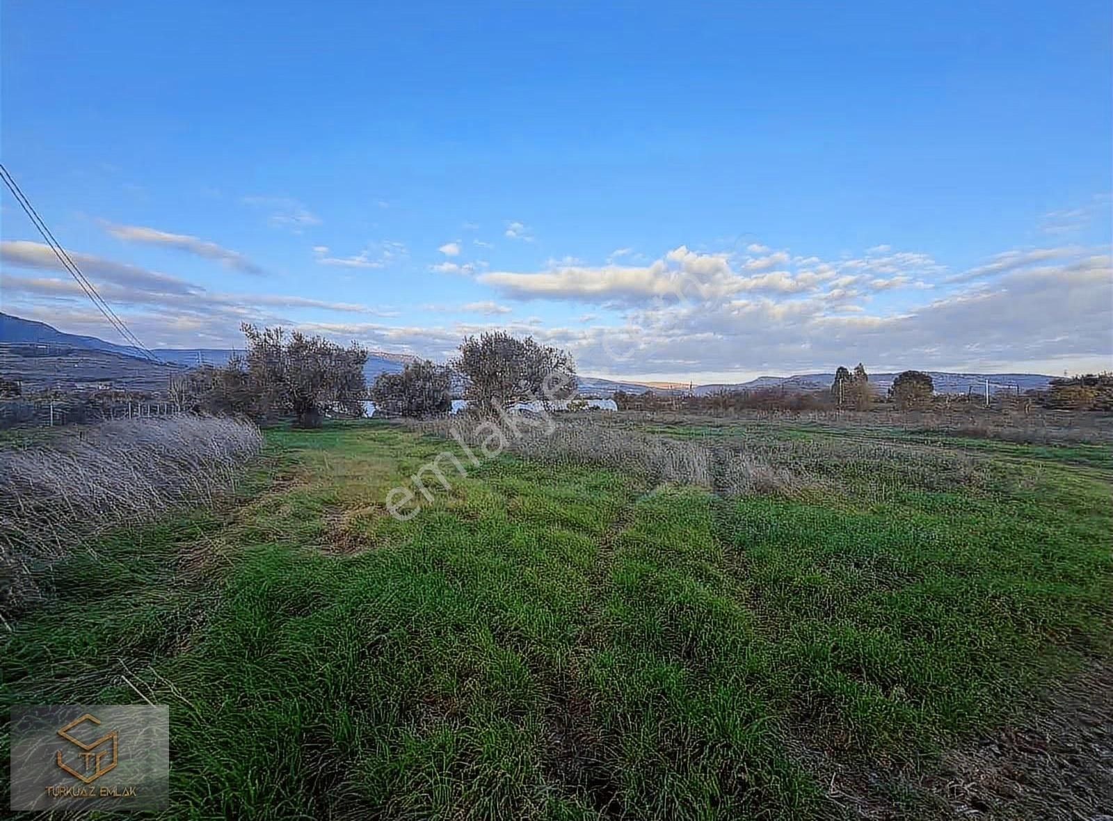Menemen Görece Köyünde 4860 M² Satılık Tarla - Görsel 5