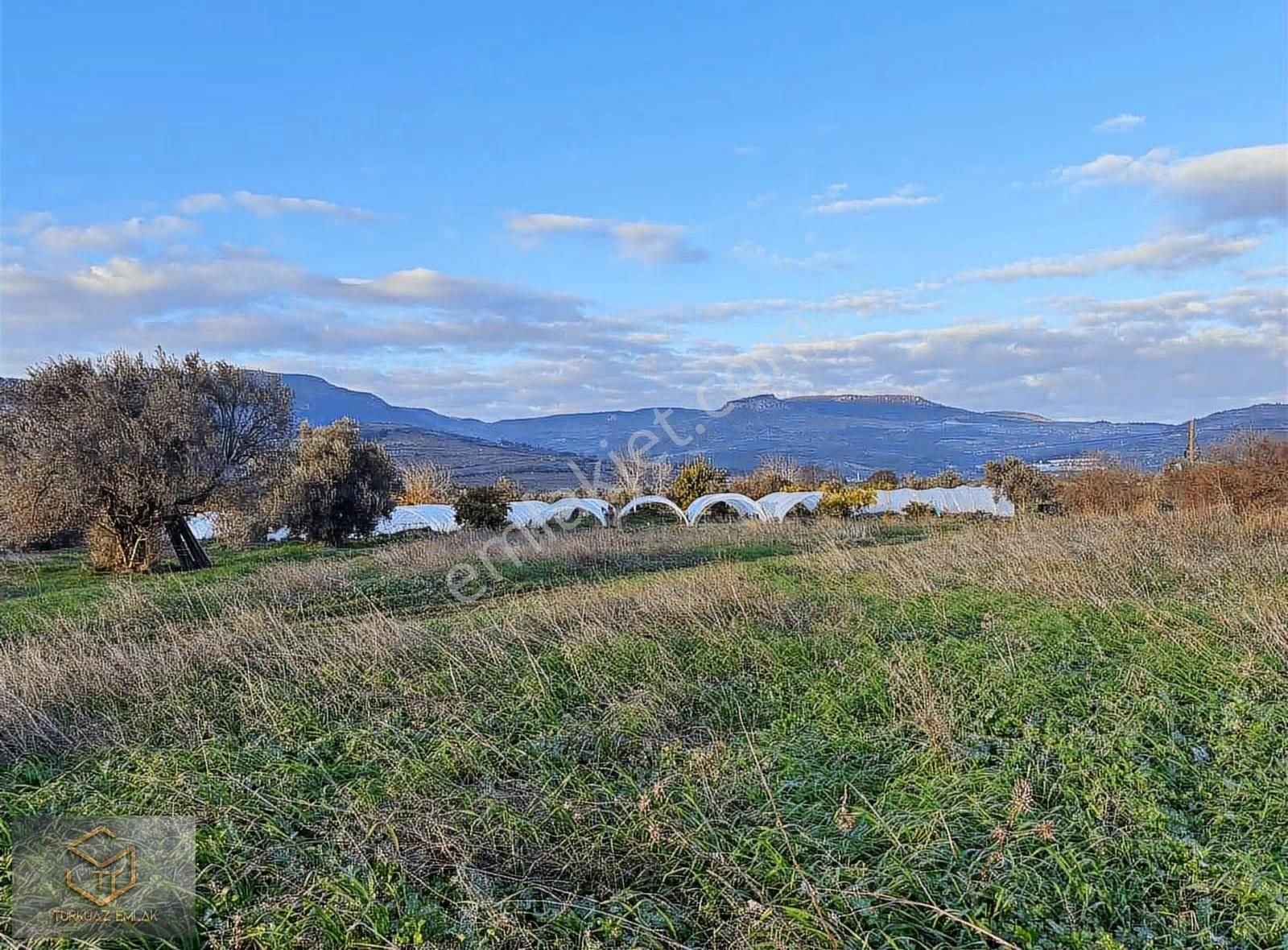 Menemen Görece Köyünde 4860 M² Satılık Tarla - Görsel 11