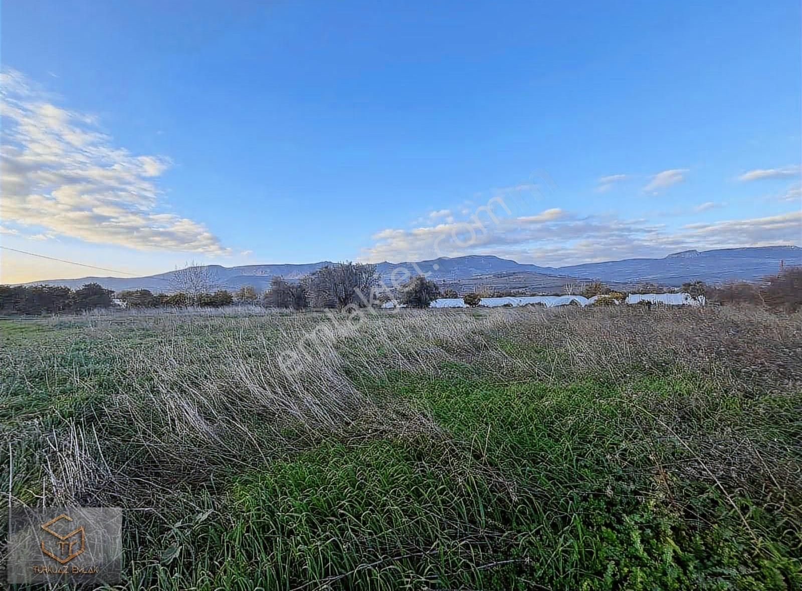 Menemen Görece Köyünde 4860 M² Satılık Tarla - Görsel 17