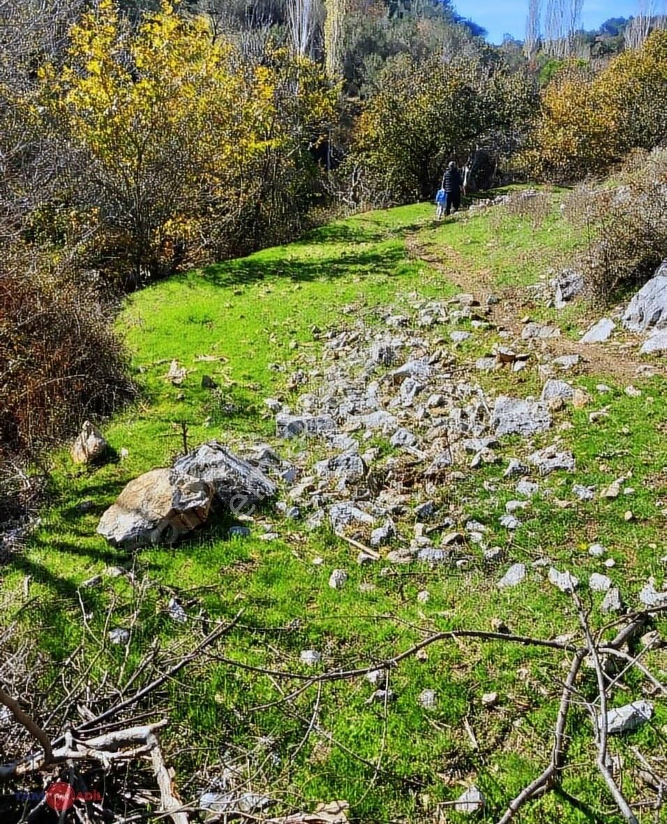 Bergama Katrancı Köyünde Satılık Arsa - Görsel 2