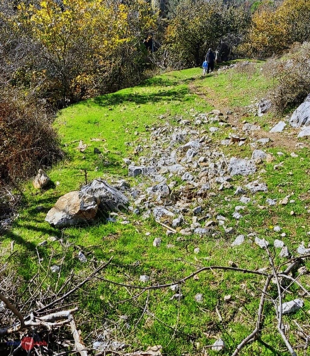Bergama Katrancı Köyünde Satılık Arsa - Görsel 3