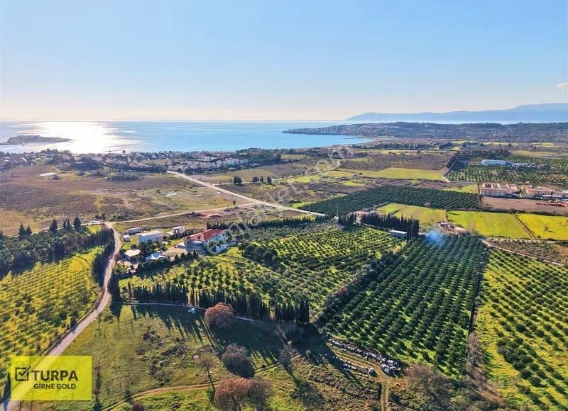 Sığacık Yakını Deniz Manzaralı 16752 M2 Satılık Mandalin Bahçesi - Görsel 9