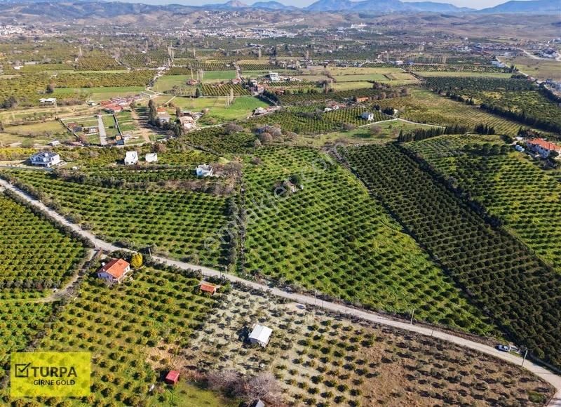 Sığacık Yakını Deniz Manzaralı 16752 M2 Satılık Mandalin Bahçesi - Görsel 15