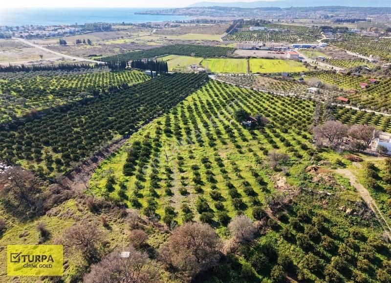 Sığacık Yakını Deniz Manzaralı 16752 M2 Satılık Mandalin Bahçesi - Görsel 18