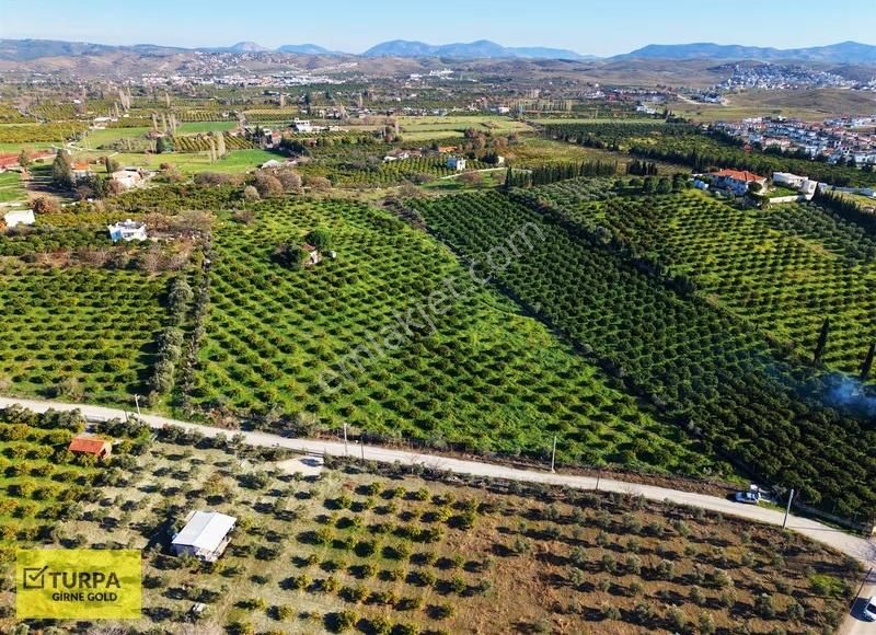 Sığacık Yakını Deniz Manzaralı 16752 M2 Satılık Mandalin Bahçesi - Görsel 4