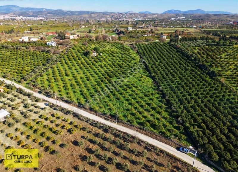 Sığacık Yakını Deniz Manzaralı 16752 M2 Satılık Mandalin Bahçesi - Görsel 10