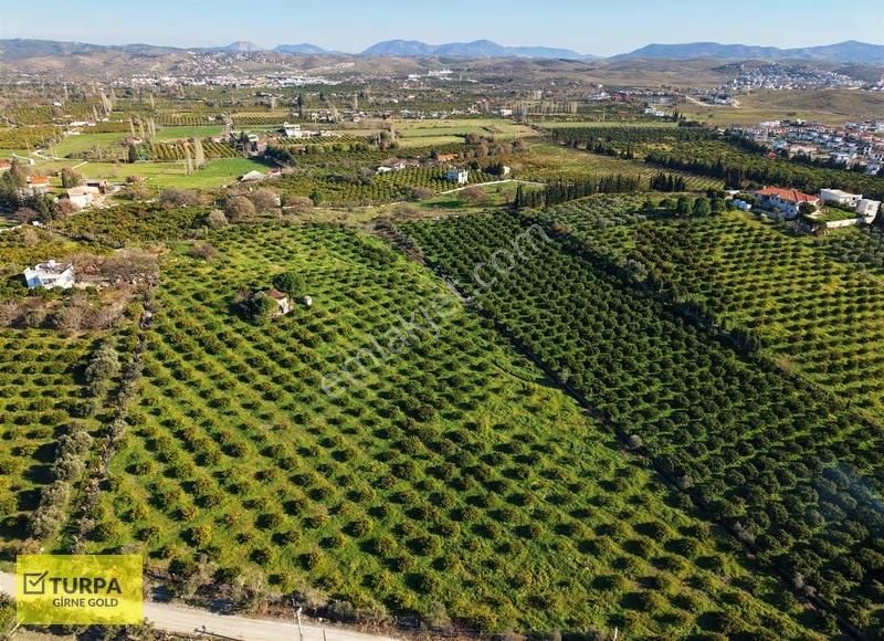 Sığacık Yakını Deniz Manzaralı 16752 M2 Satılık Mandalin Bahçesi - Görsel 11
