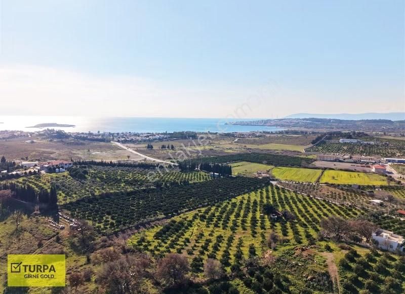 Sığacık Yakını Deniz Manzaralı 16752 M2 Satılık Mandalin Bahçesi - Görsel 5