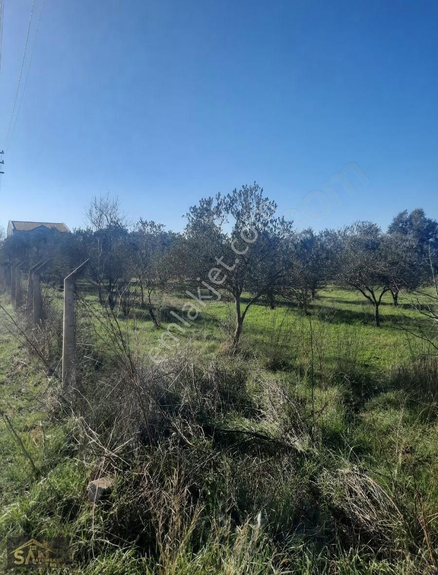 Urla Kuşçular Ova İlk Okulu Yanında Satılık Tarla