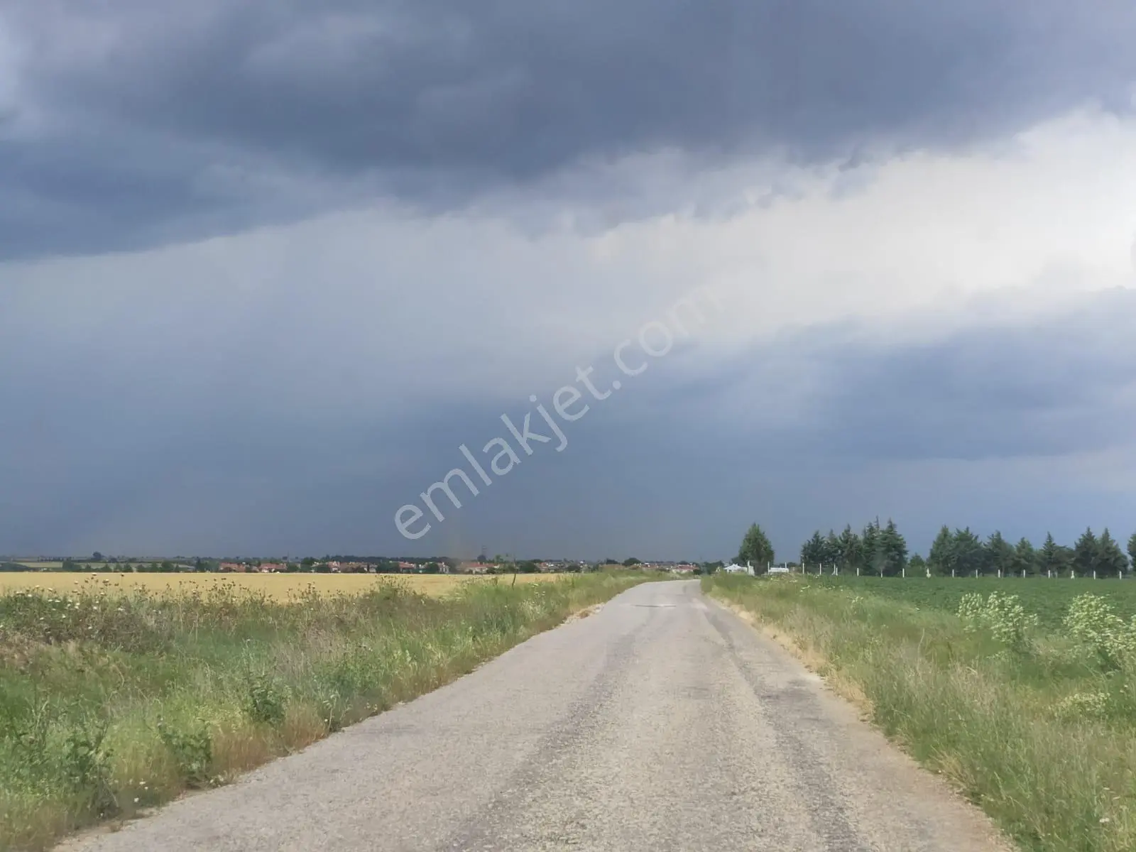 Lüleburgaz'da Mustakil Tapu 5.500 M2 Satılık Tarla - Görsel 3