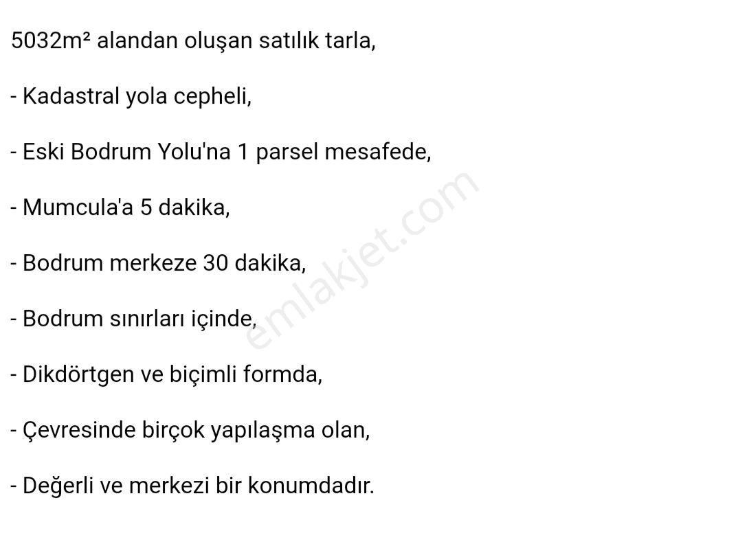 Tek Tapuluk Arsa - Görsel 2