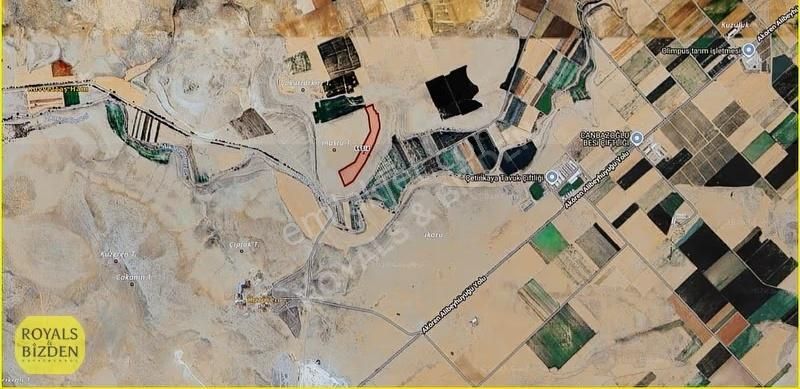 Çumra Alibeyhüyüğü Köye Yakın 41.953m2 Emsalsiz Müstakil Tarla ! - Görsel 5