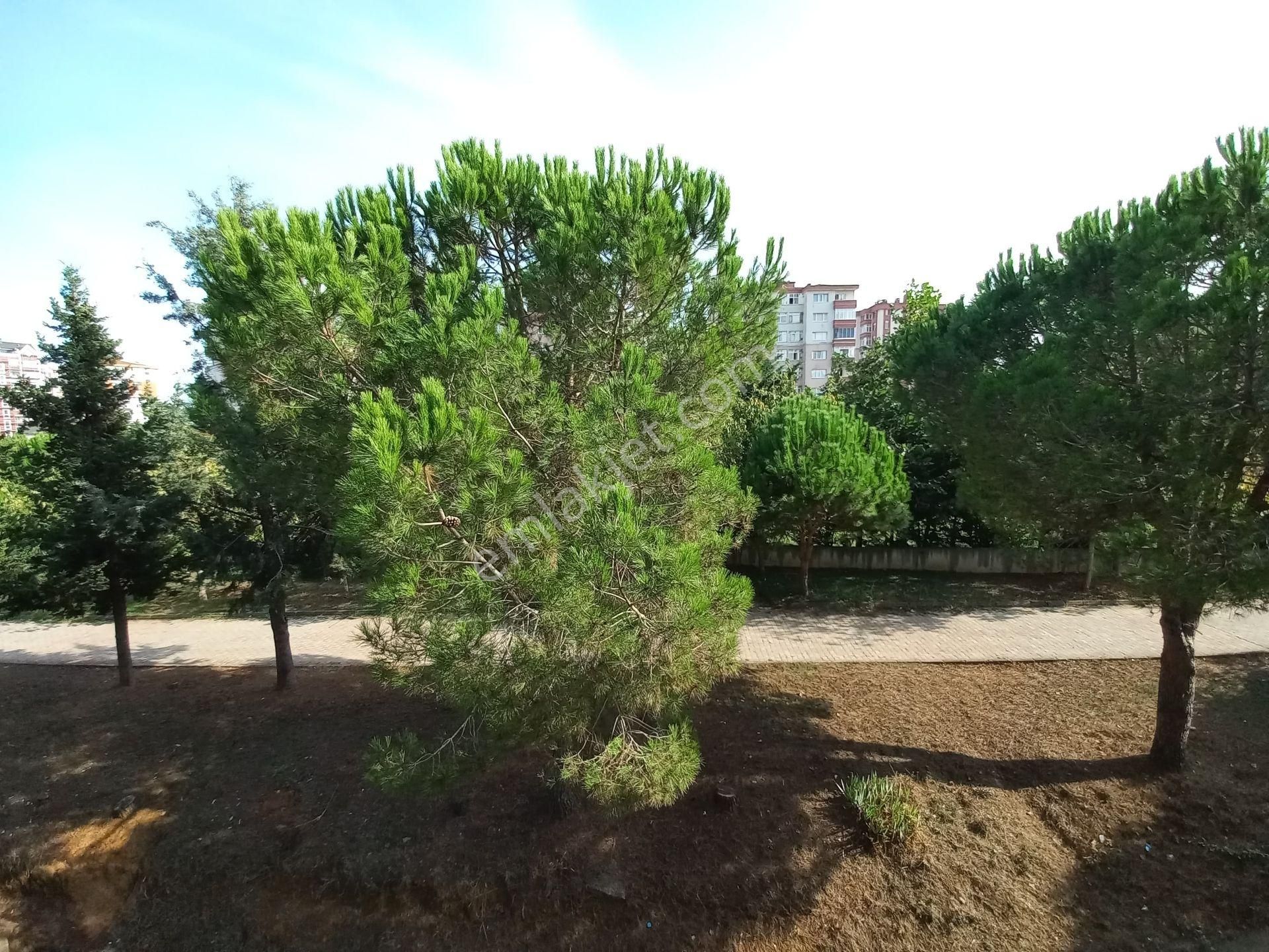 Pendik Yenişehir Çimen Sitesi Kurtköy Kiralık Eşyalı 2+1 Daire