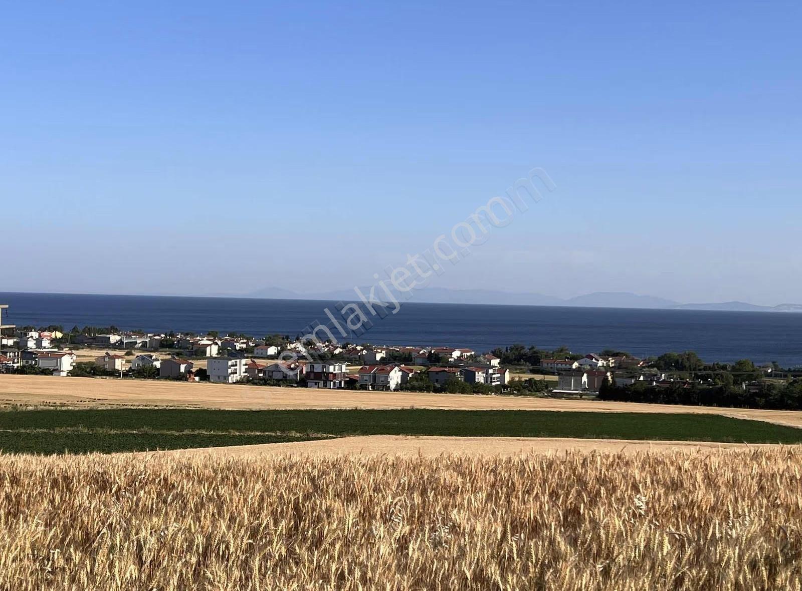 Marmaraereglide Prefabrik Koymaya Uygun Satılık Arsa - Görsel 30