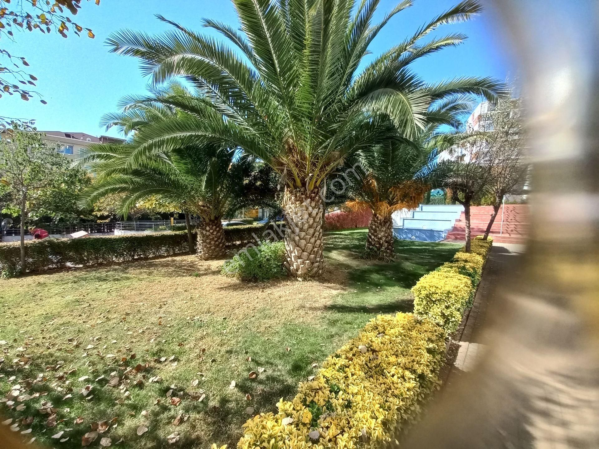 Konsept İstanbul Kurtköy Kiralık 2+1 Ebeveyn Banyolu Daire - Görsel 2