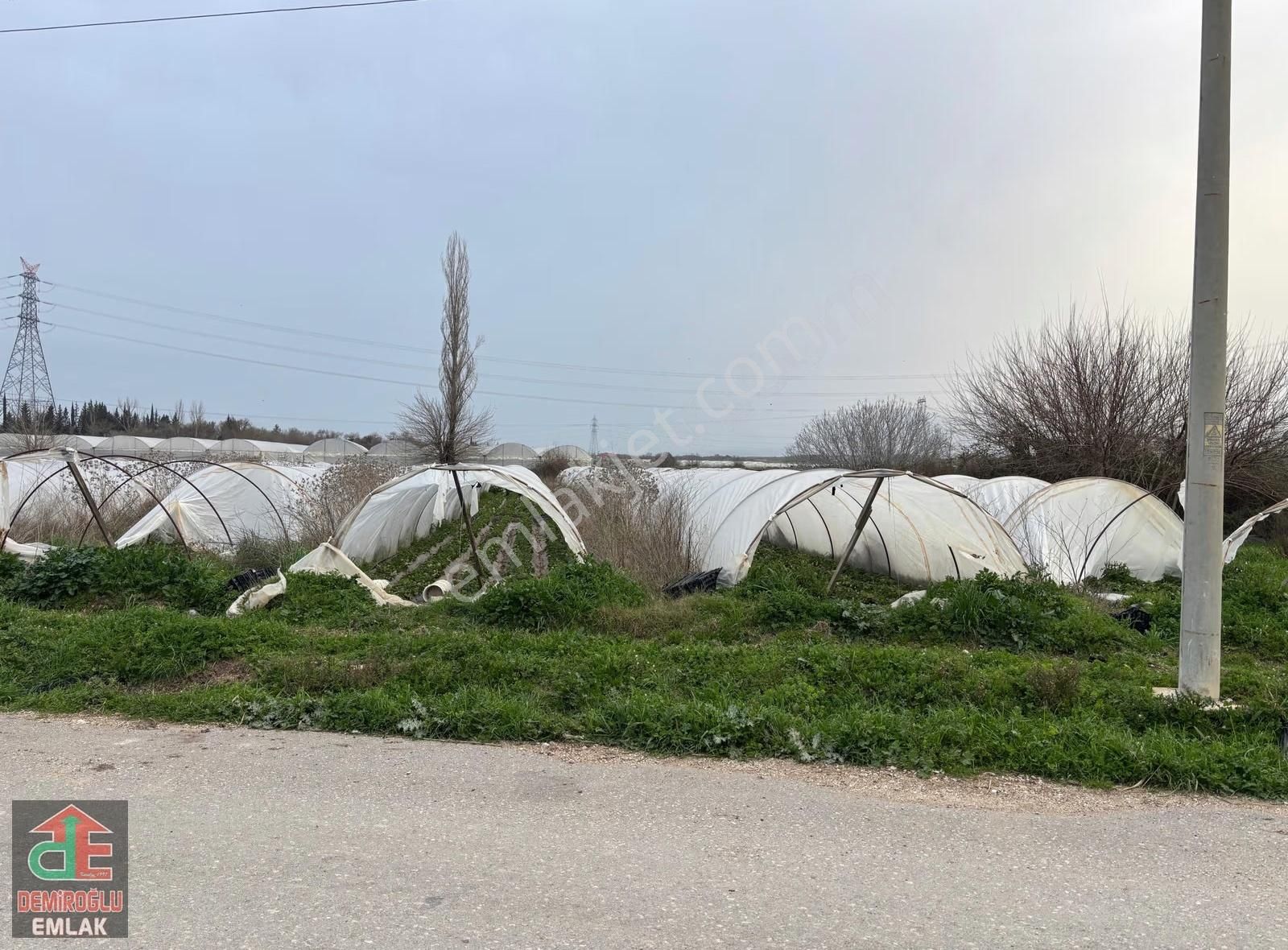 Yukarıkocayatak Çilek Serası, Mükemmel Yatırım !!