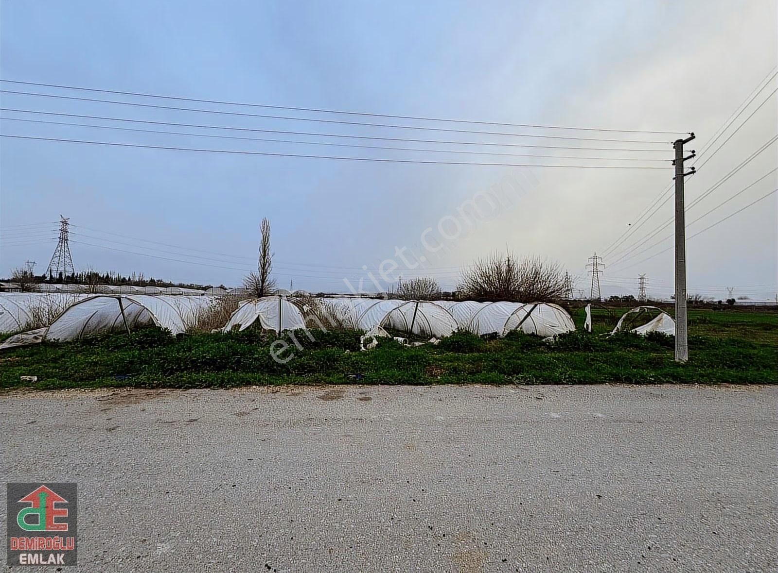 Yukarıkocayatak Çilek Serası, Mükemmel Yatırım !! - Görsel 5