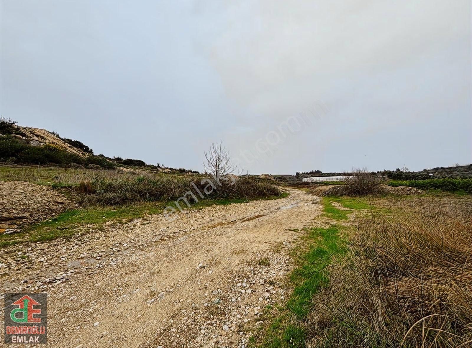 Şatırlı Tarla Kupon Değerinde Tarla