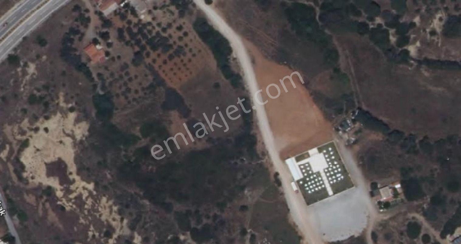 Seferihisar Doğanbey'de 203 M² Satılık Arazi