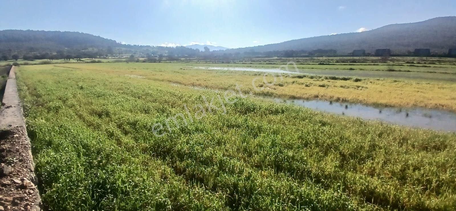 Milas Meşelik’te Çiftlik Evi Kurma İmkânı Sunan 4338 M2 Yatırım Arazisi - Görsel 20