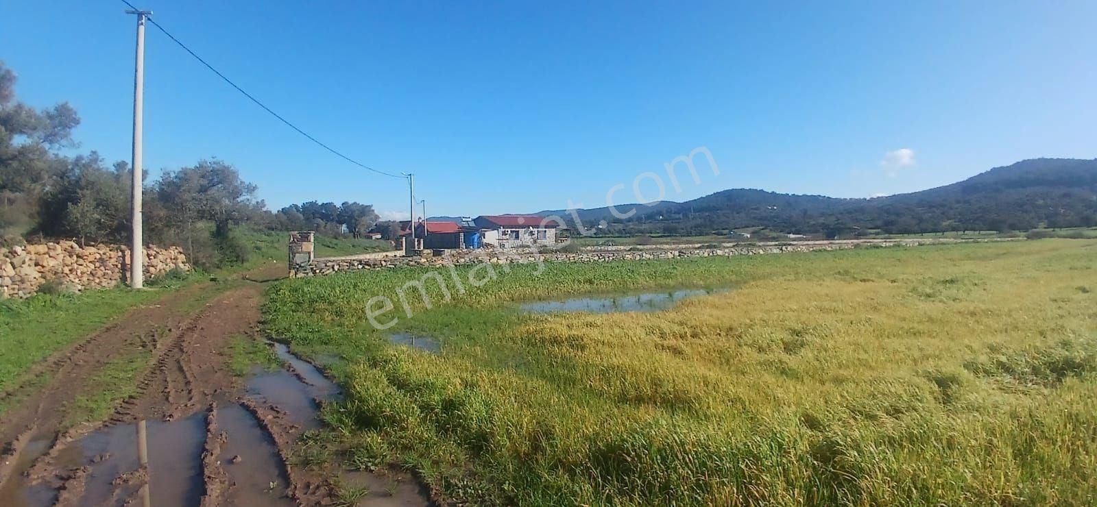 Milas Meşelik’te Çiftlik Evi Kurma İmkânı Sunan 4338 M2 Yatırım Arazisi - Görsel 33