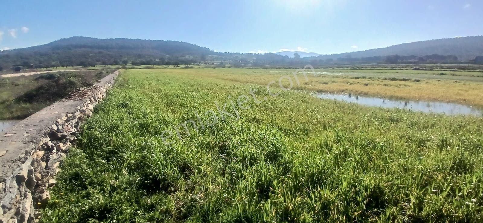 Milas Meşelik’te Çiftlik Evi Kurma İmkânı Sunan 4338 M2 Yatırım Arazisi - Görsel 26