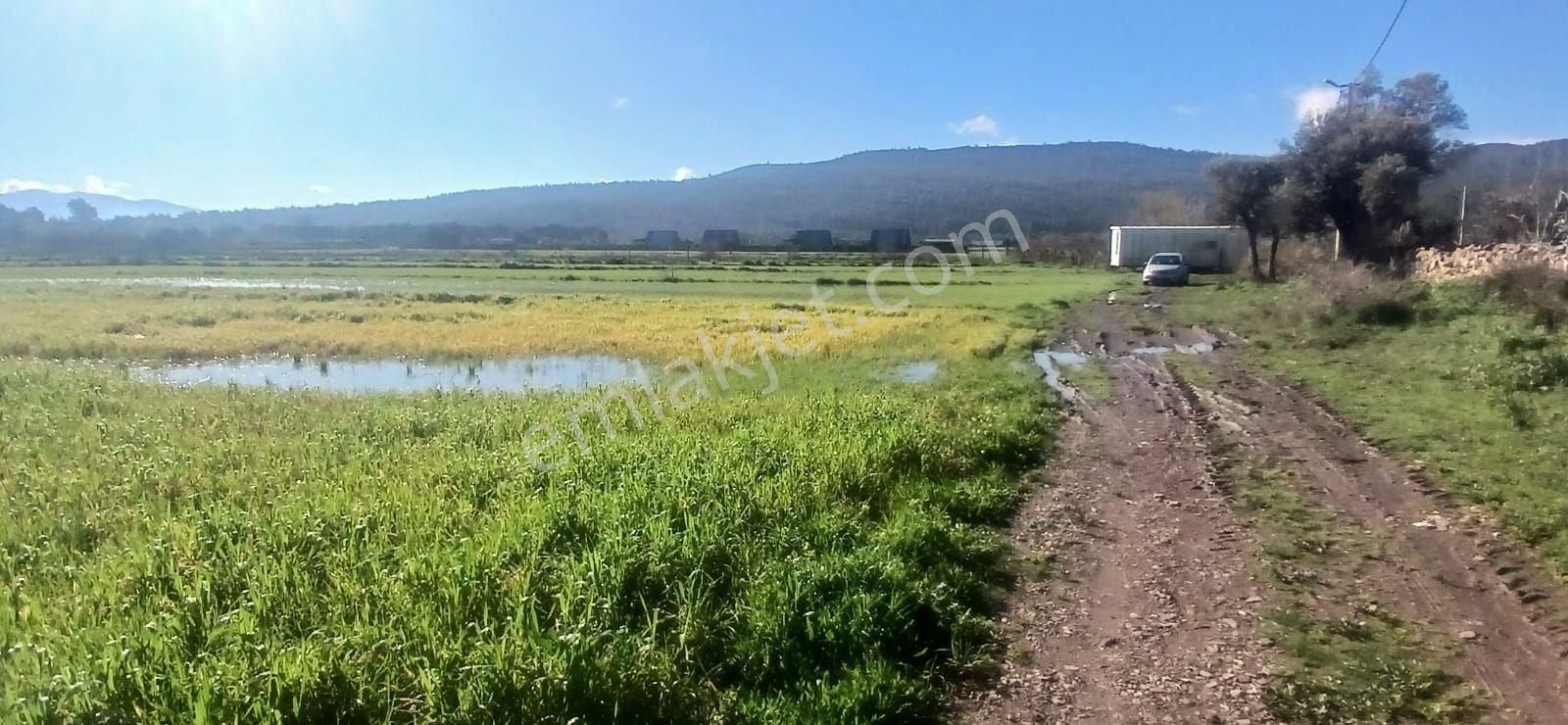 Milas Meşelik’te Çiftlik Evi Kurma İmkânı Sunan 4338 M2 Yatırım Arazisi - Görsel 24