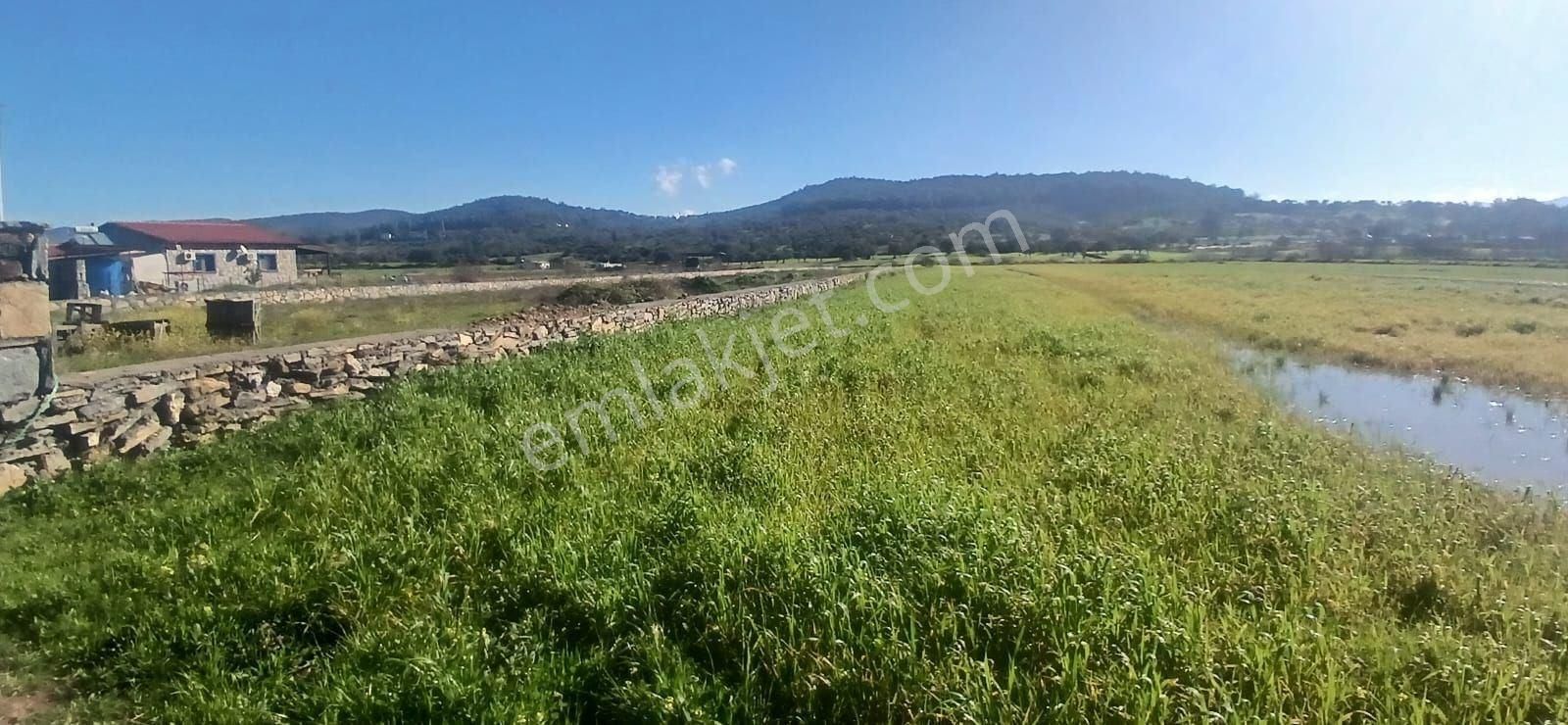 Milas Meşelik’te Çiftlik Evi Kurma İmkânı Sunan 4338 M2 Yatırım Arazisi - Görsel 28