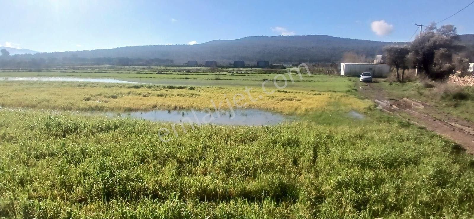 Milas Meşelik’te Çiftlik Evi Kurma İmkânı Sunan 4338 M2 Yatırım Arazisi - Görsel 18