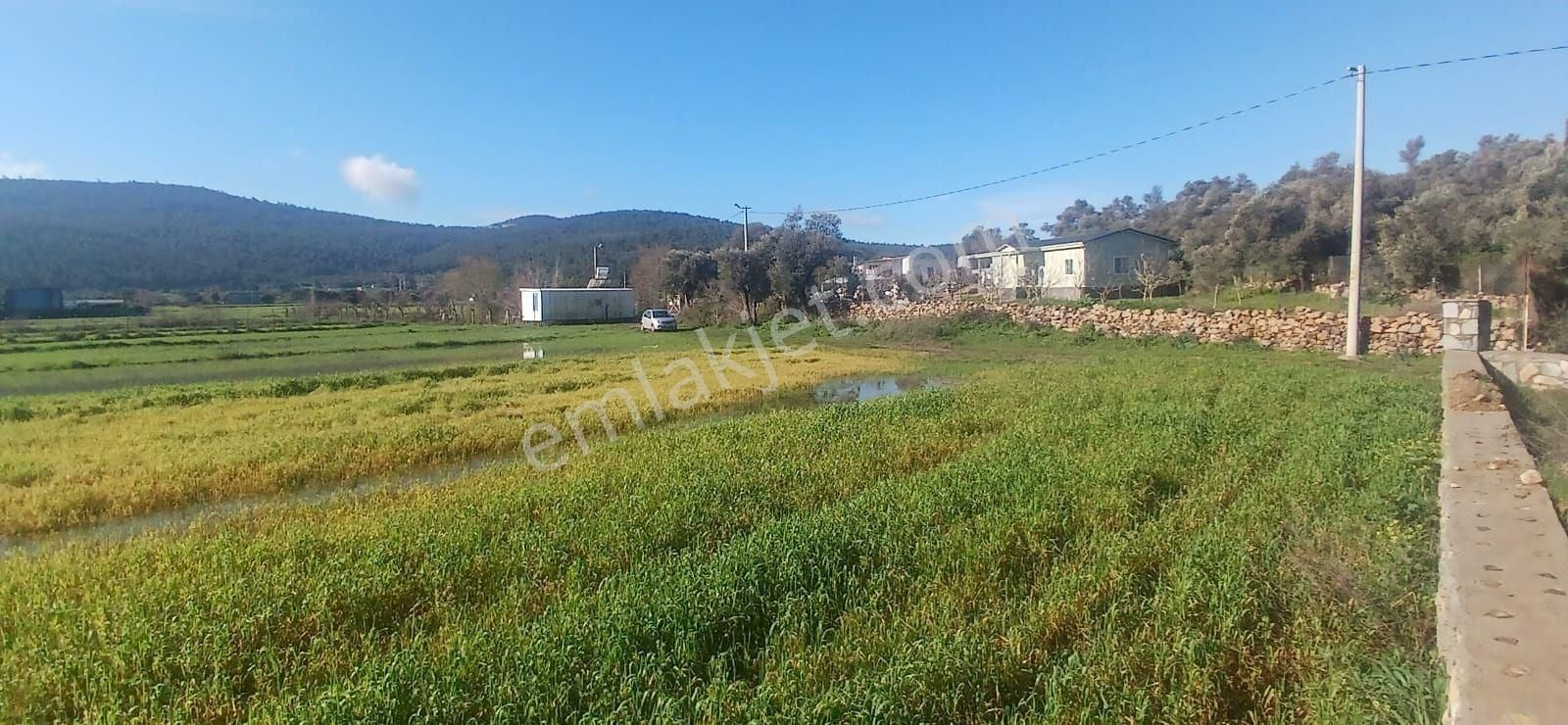 Milas Meşelik’te Çiftlik Evi Kurma İmkânı Sunan 4338 M2 Yatırım Arazisi - Görsel 19