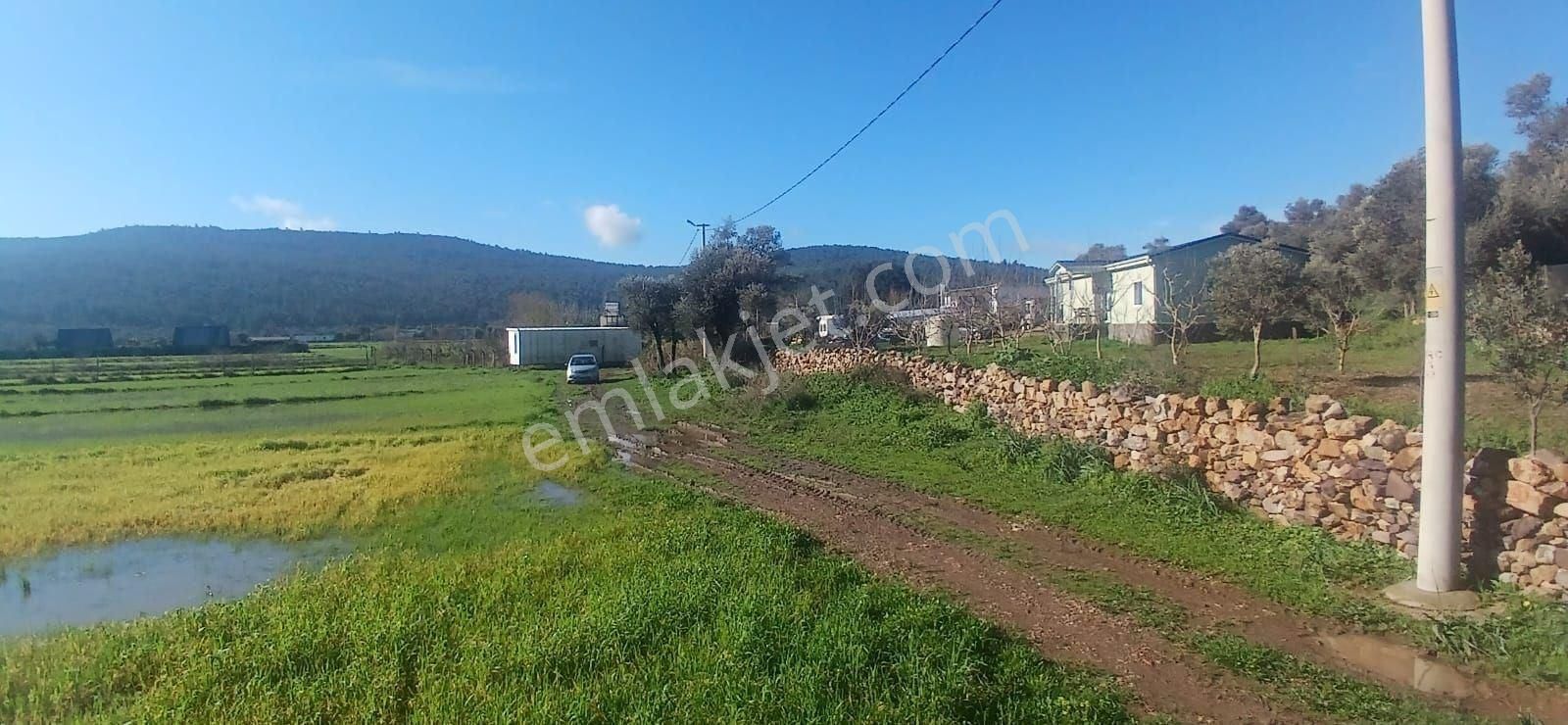 Milas Meşelik’te Çiftlik Evi Kurma İmkânı Sunan 4338 M2 Yatırım Arazisi - Görsel 21